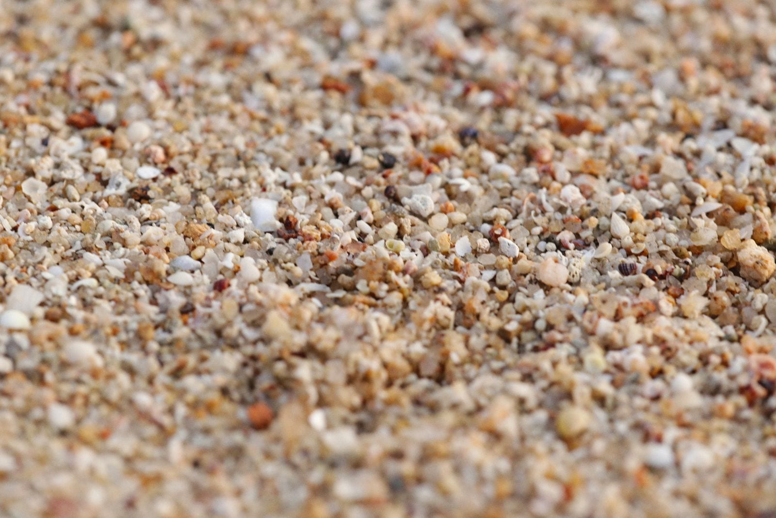 Macro photograph of mixed aquarium-grade sand and very fine gravel, showing individual rounded grains roughly one to two millimeters across.