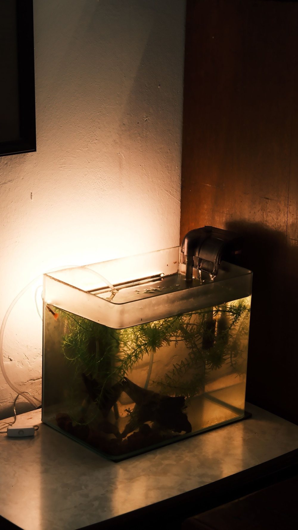 A small planted nano aquarium on a table beside a wall, lit from above, with an open top, a hang-on-back filter at one end and a cable running down to the floor.