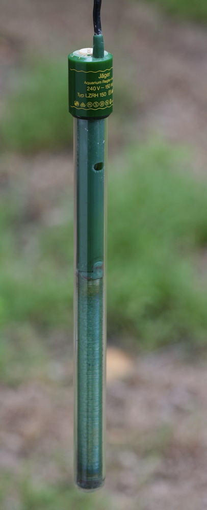 A glass-tube immersion aquarium heater with a green top and control dial, photographed out of the tank against a plain background.