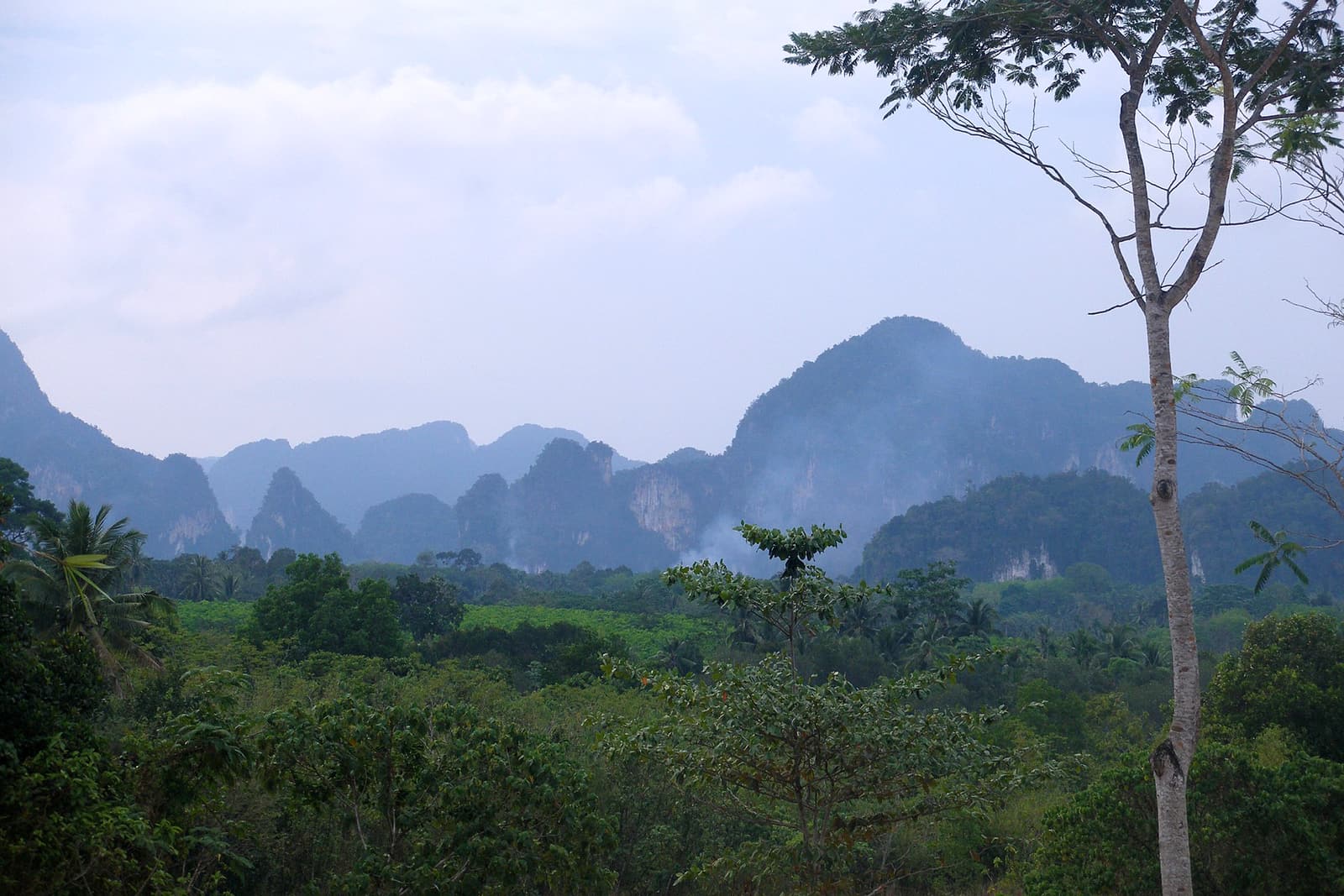 Ethereal limestone karst landscape in Krabi, southern Thailand, formed from dissolved Permian coral-reef bedrock.